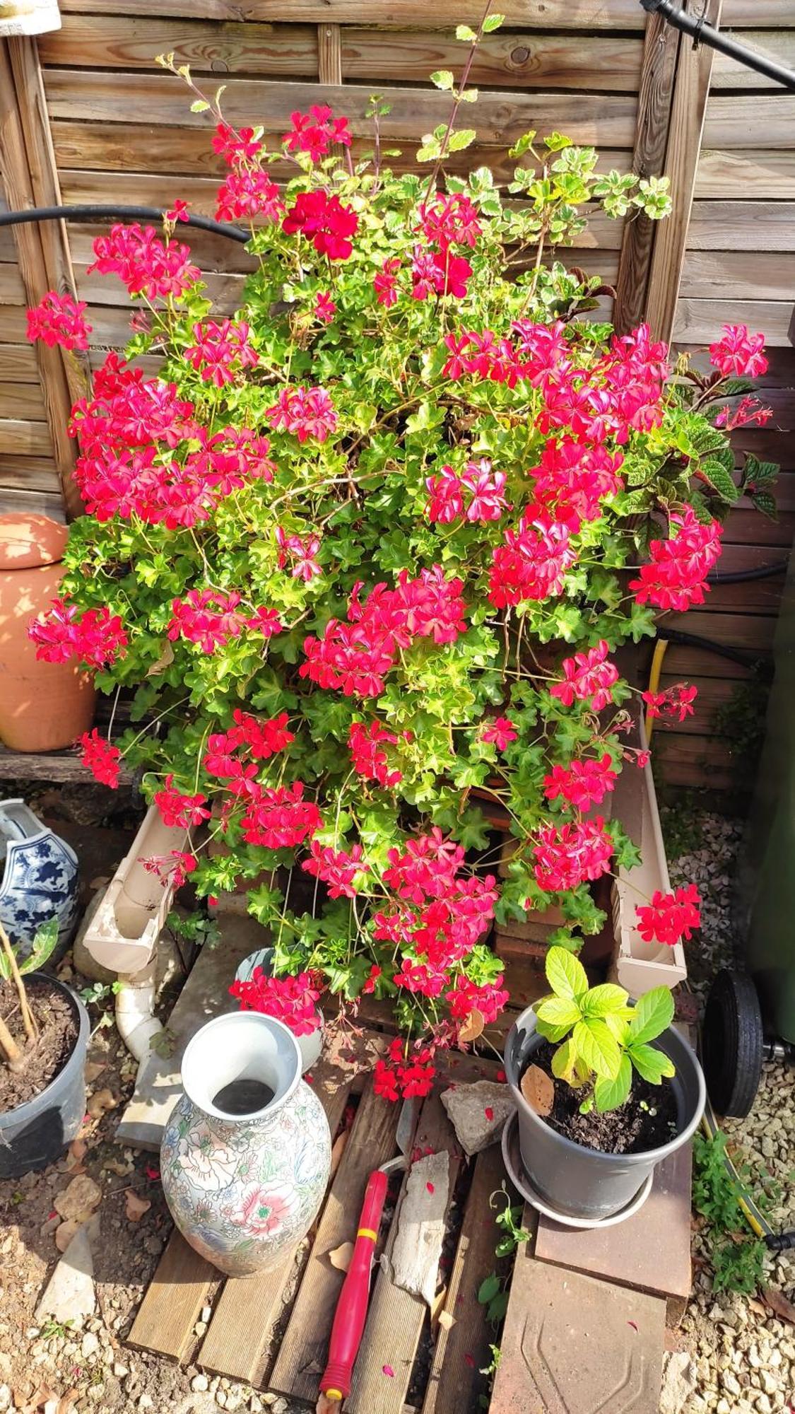 Un Deux Pieces Et Un Jardin A Villejuif Kültér fotó